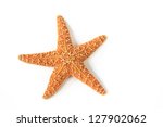 Starfish  asterias rubens  from ...