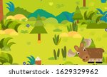 cartoon forest scene with wild... | Shutterstock . vector #1629329962