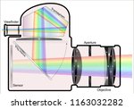 single lens reflex camera 