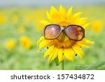 Sunflower wearing sunglasses 