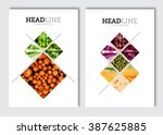business brochure design... | Shutterstock .eps vector #387625885