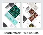 business brochure design... | Shutterstock .eps vector #426123085