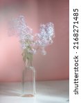 Small photo of bunch lilac in little bottle vase on the table, pink background. Gentle moire