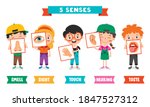 five senses concept with human... | Shutterstock .eps vector #1847527312