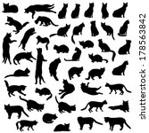 cats silhouette set. kitten in... | Shutterstock .eps vector #178563842