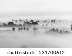 sea of clouds over the forest, Black and white tones in minimalist photography