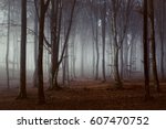 Spooky light in foggy forest