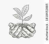 hands and plant sketch vector... | Shutterstock .eps vector #1818452885