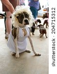 Small photo of MCDONOUGH, GA - MAY 10: A dog is unhappily dressed in a Marilyn Monroe costume at the annual Dog Days of McDonough festival on May 10, 2014 in McDonough, GA.