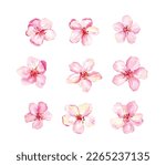 Set Of Pink Flowers Vector...