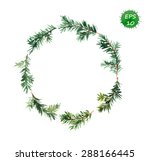 Spruce Wreath. Watercolor Vector