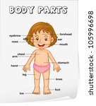 Vector Images, Illustrations and Cliparts: Cartoon child. Vocabulary of