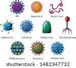 close up isolated object of... | Shutterstock .eps vector #1482347732