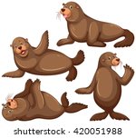 Sea Lion In Four Poses...