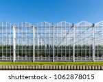 Glasshouses Or Greenhouses For...