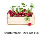 cherries in wooden box isolated ... | Shutterstock . vector #201535118