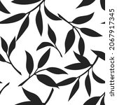 vector black and white floral... | Shutterstock .eps vector #2067917345