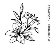 Vector Black Contour Of Lily...