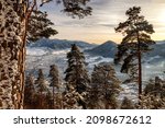 Snowy conifer trees in forest. View from hill Cebrat in Great fatra mountains on town Ruzomberok, Slovakia.