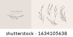 lavender logo and branch. hand... | Shutterstock .eps vector #1634105638