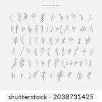 floral branch. hand drawn... | Shutterstock .eps vector #2038731425