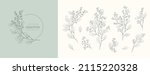 seeded eucalyptus logo and... | Shutterstock .eps vector #2115220328