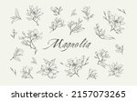 magnolia flower logo and branch ... | Shutterstock .eps vector #2157073265
