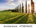 country road flanked with... | Shutterstock . vector #473834602