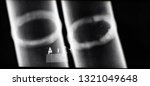 Small photo of Transcript of x-ray images of welds of pipelines to identify defective areas