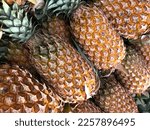 Closeup of farm fresh ripe, luscious, sweet, juicy pineapples.