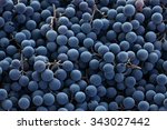 Red wine grapes background 