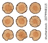Round Tree Trunk Cuts With...