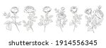 set of differents roses on... | Shutterstock .eps vector #1914556345