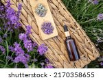 amber essential lavender oil... | Shutterstock . vector #2170358655