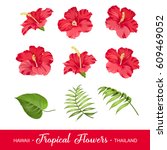 Set Of Tropical Flowers...
