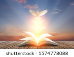 Small photo of White pigeons fly out of books that are flicked by the wind in beautiful light on sunset background