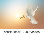 Small photo of White Dove carrying olive leaf branch on Beautiful light and lens flare .Freedom concept and international day of peace , Free Clipping path