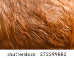 stock-photo-macro-brown-goat-hair-macro-with-extremely-shallow-dof-272399882.jpg