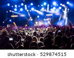 Hand with a smartphone records live music festival, Taking photo of concert stage, live concert, music festival, happy youth, luxury party, landscape exterior.