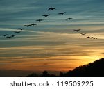 Flock Of Migrating Canada Geese ...