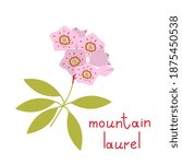 Mountain Laurel Vector Flower...