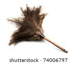 Isolated Feather Duster