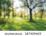 defocused bokeh background of apple garden with blossoming trees  in sunny day, backdrop