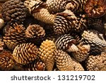 Pine Cones nice and dry and some are open up.