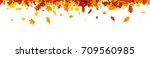 autumn banner with golden maple ... | Shutterstock .eps vector #709560985