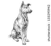 Dog 3d Drawing Free Stock Photo - Public Domain Pictures