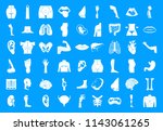 human body icon set. simple set ... | Shutterstock . vector #1143061265