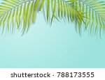 tropical palm leaves on light... | Shutterstock . vector #788173555