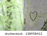 Heart Carved In The Tree