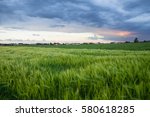 Beautiful sunset landscape over green lush of wheat field